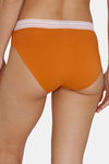 Zivame Anti-Microbial Low Rise Full Coverage Bikini Panty (Pack of 2) - Multicolor — thumbnail 7